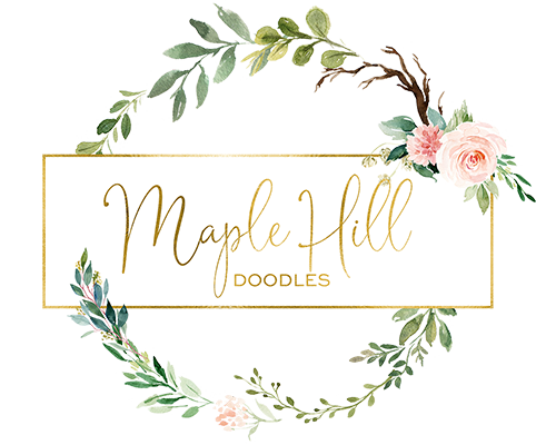 Maple Hill Doodles Logo