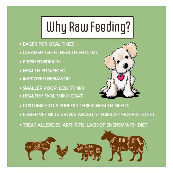 How to raw feed dogs hotsell