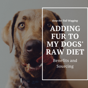 adding fur to dogs raw diet