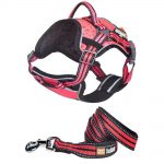 harness and leash woven webbing non-retractable