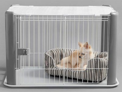 akc reasons why crate training is good for you and puppy