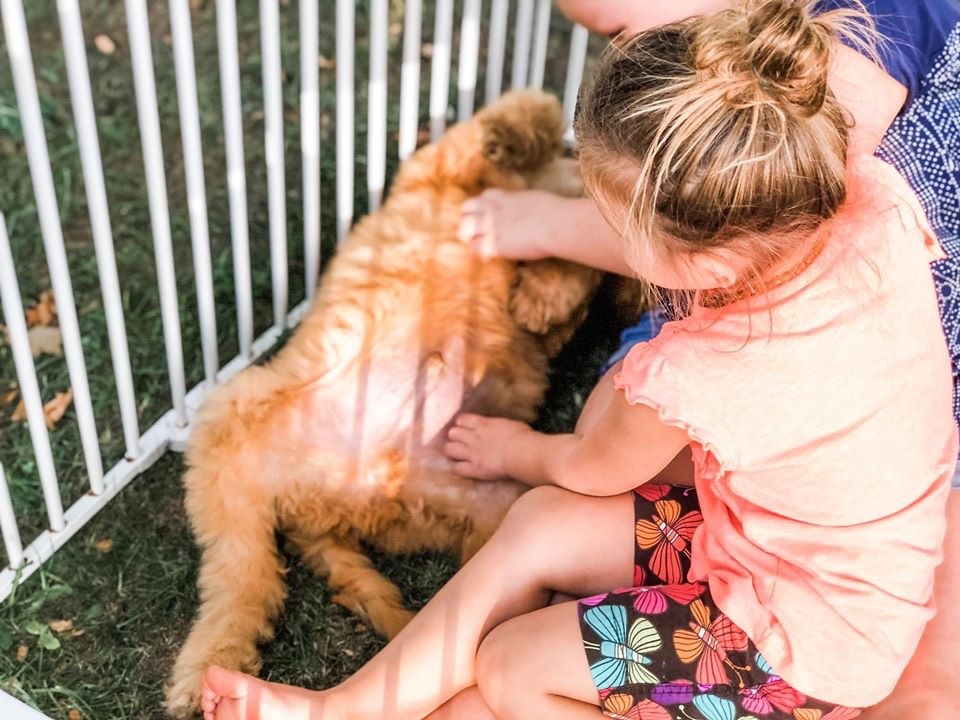 Kids and puppies