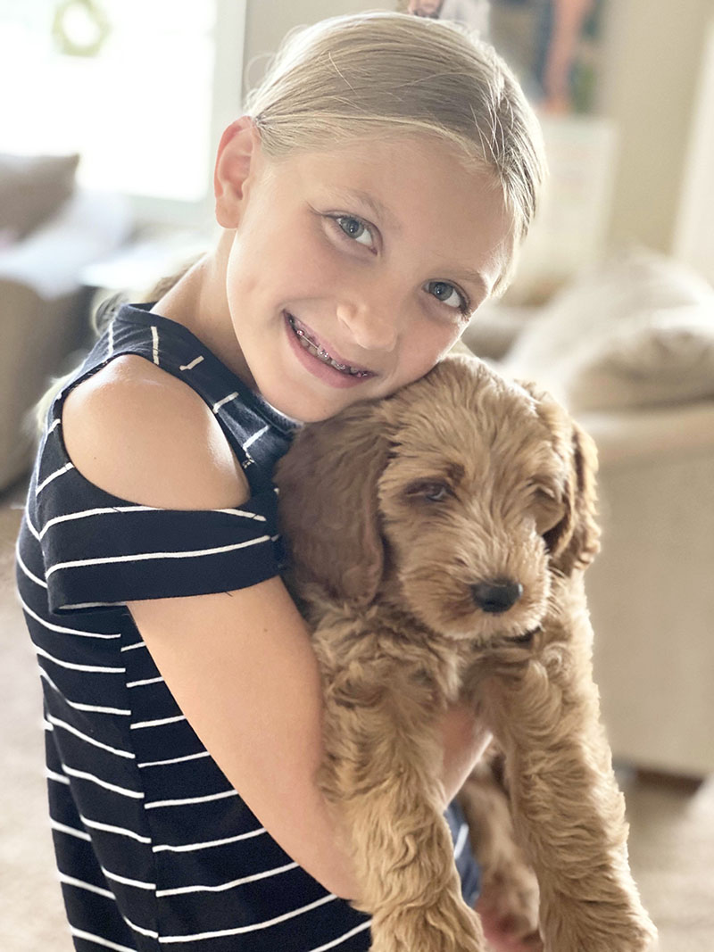 CavaDoodle boy puppy little girl hug aug2020