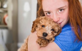temperament testing in puppies doodle puppy red haired girl hug