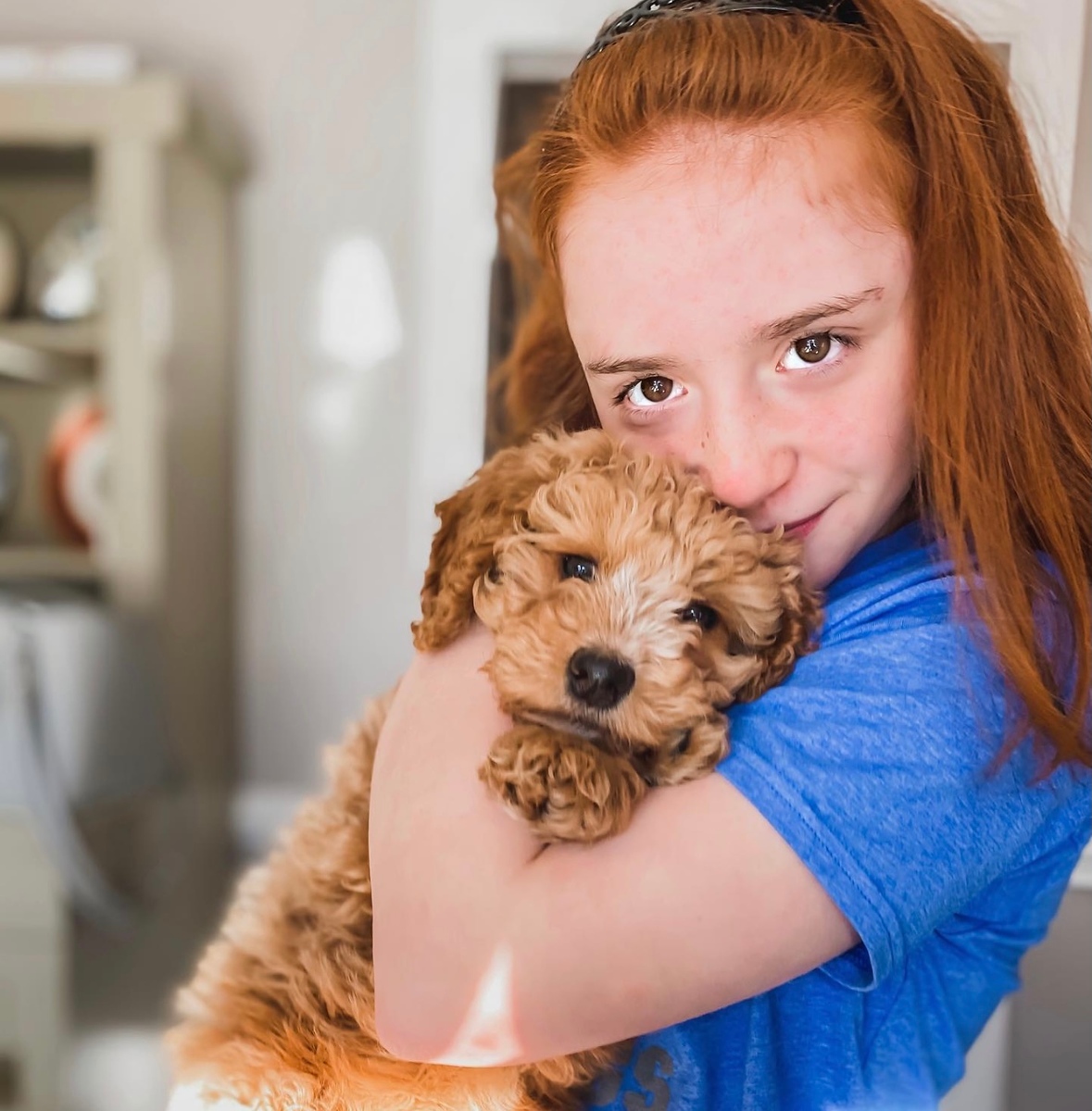 temperament testing in puppies doodle puppy red haired girl hug