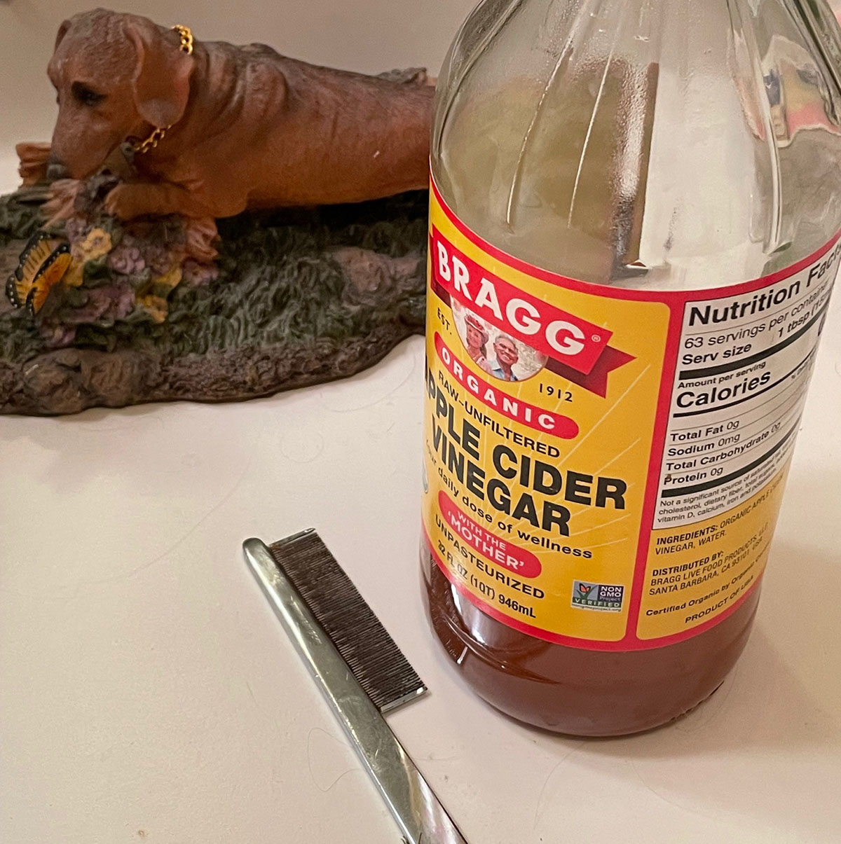 basic flea control flea comb apple cider vinegar