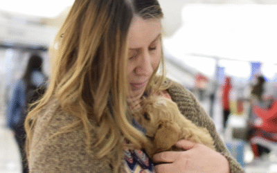 How to Bring Your Puppy Home from Ohio: Flight Nanny vs Flying In-Cabin (2026 Costs & Guide)