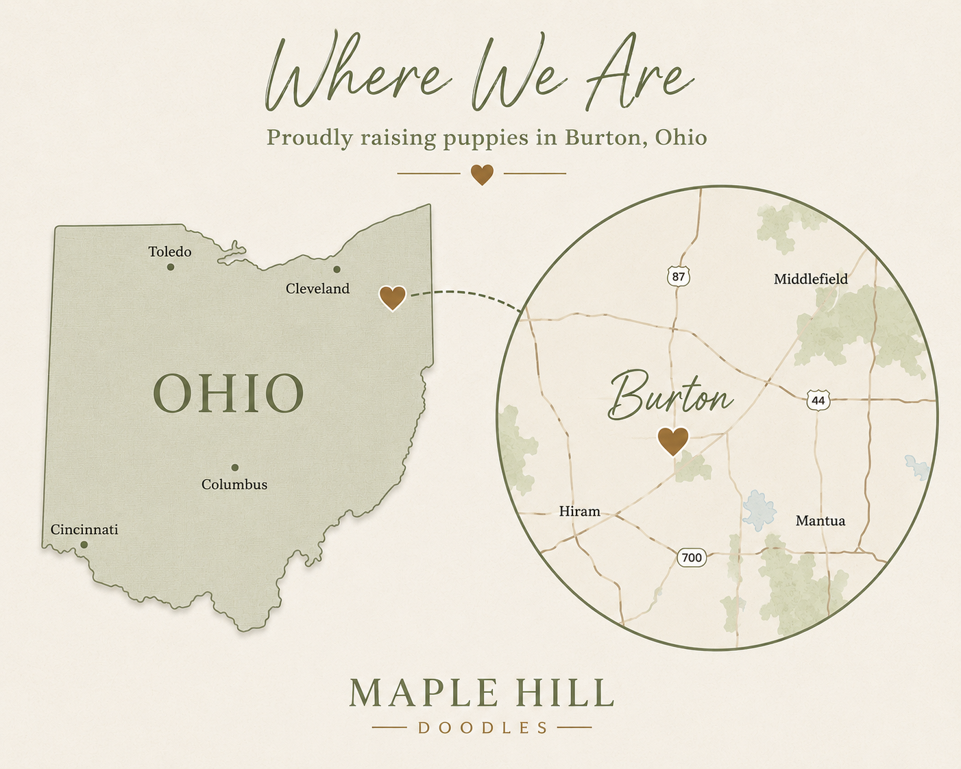 Burton, Ohio Maple Hill Doodles Burton Ohio Maple Hill Doodles
